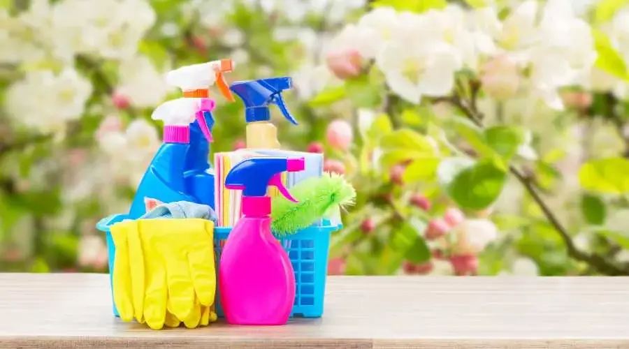 04 - diy spring cleaning