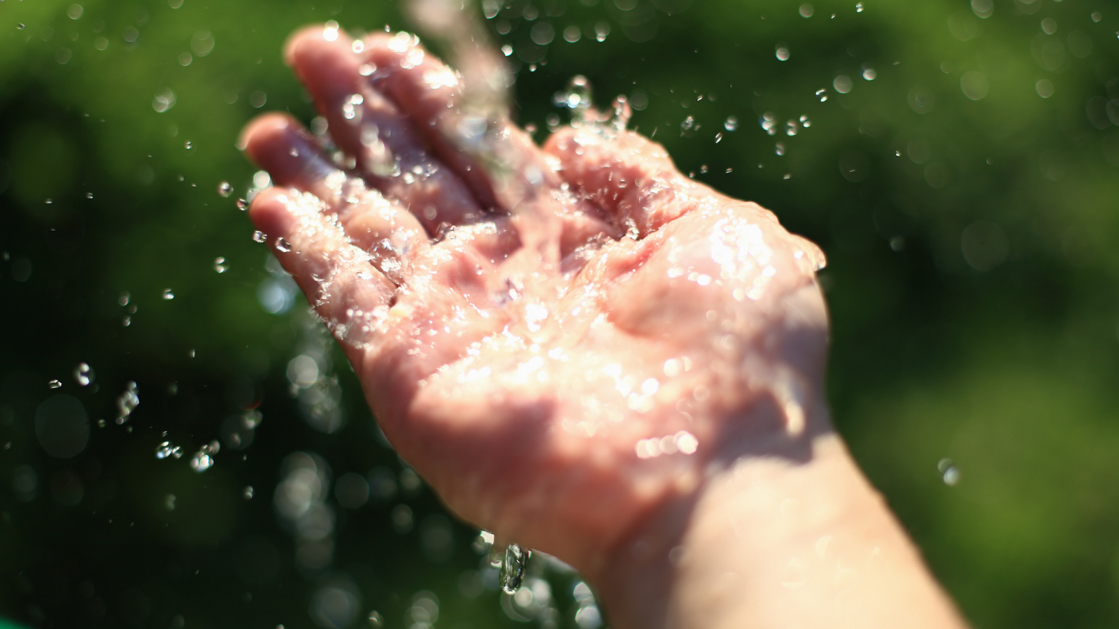 Water Conservation for Homeowners